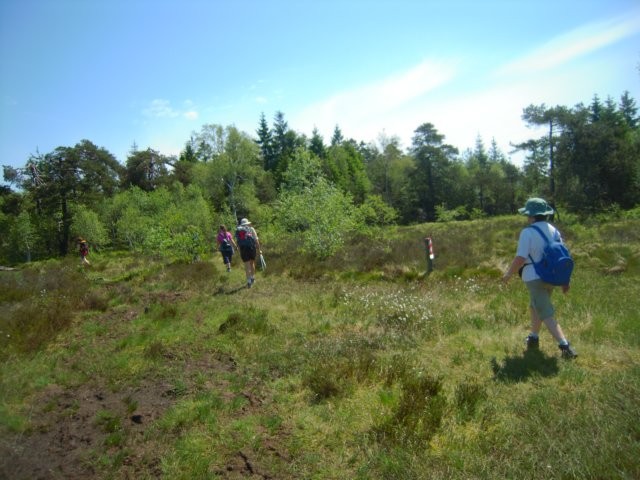 Fagnes