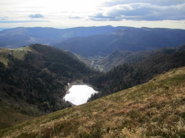 Vosges