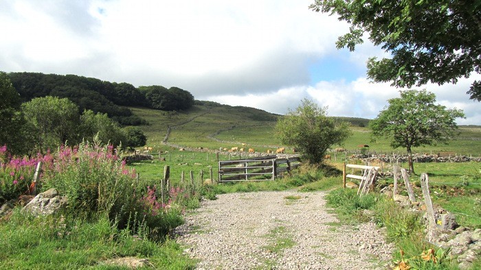Randonne  la Cascade du Droc, Aubrac