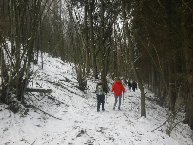 Ardenne 
