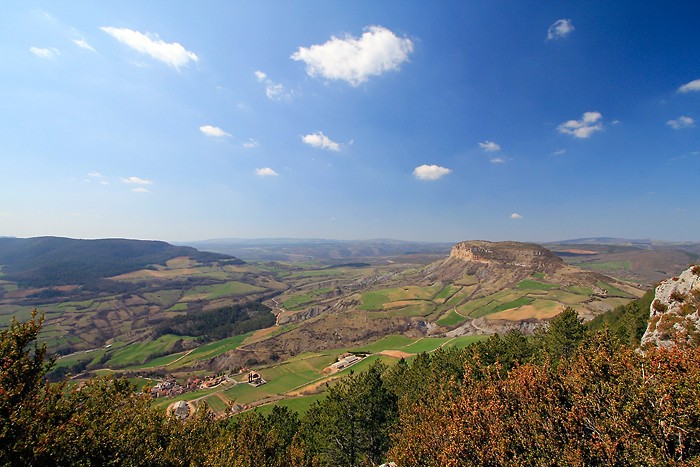 Le Puech de Sueges depuis la fort domaniale de Rivire sur Tarn