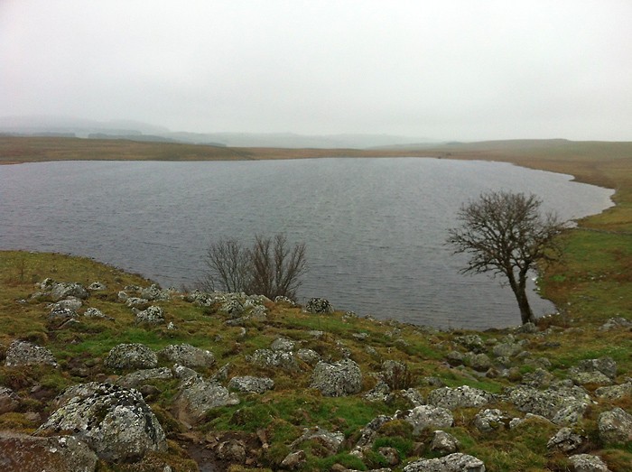 Lac de Saint Andol, Aubrac, randonne en Lozre
