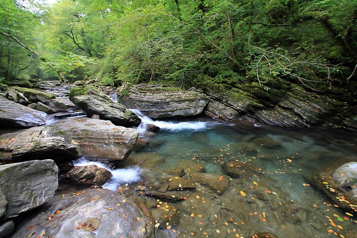 Dbut de la randonne le long du cours d'eau