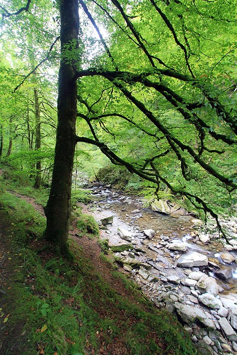 Les arbres sont bien verts en cette fin septembre