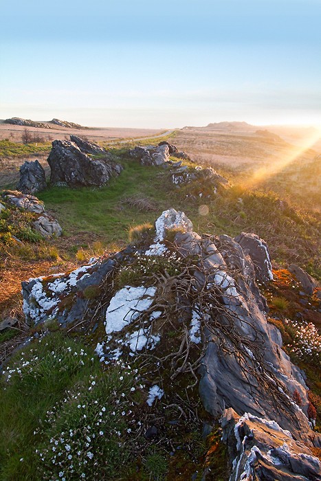 Randonnée dans le massif des Monts d'Arrée Randonnée dans le massif des Monts d'Arrée