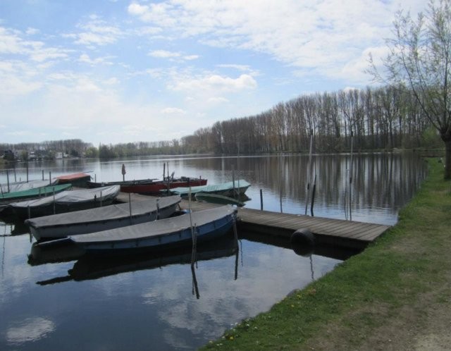 Berlare (BE)