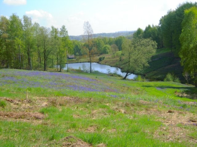Virginal (BE)