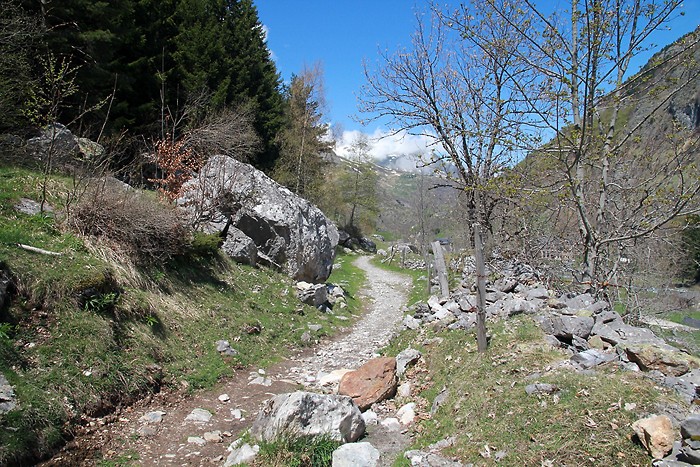 Le sentier que nous venons de parcourir
