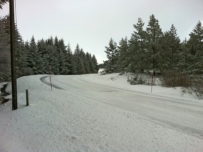 Neige sur Aubrac entre Laguiole et St Urcize, Aveyron