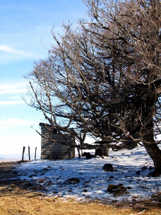 Cabane sur l'Aubrac, entre Laguiole et Aubrac
