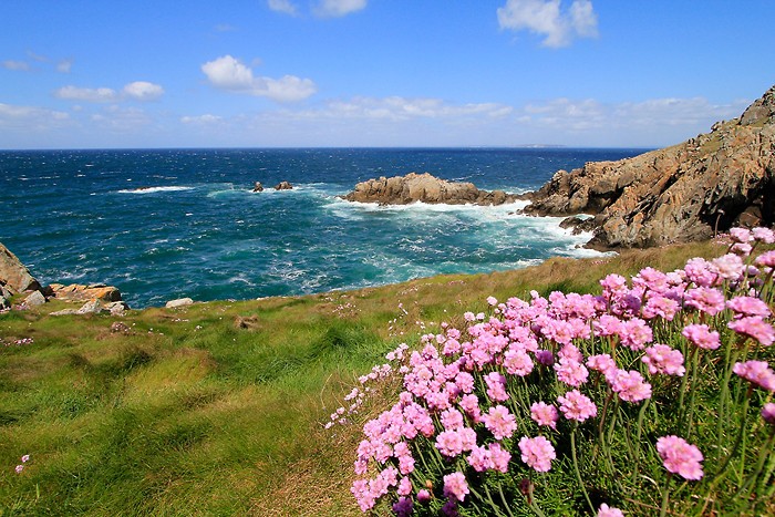 De belles couleurs sur le GR 34 en Bretagne