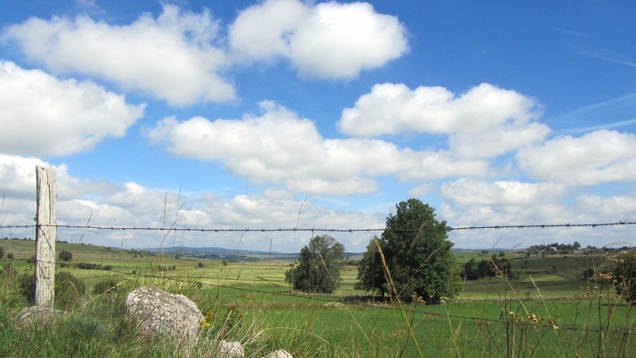 Le Plateau de l'Aubrac, prs de Nasbinals