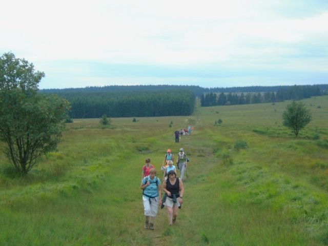 Fagnes