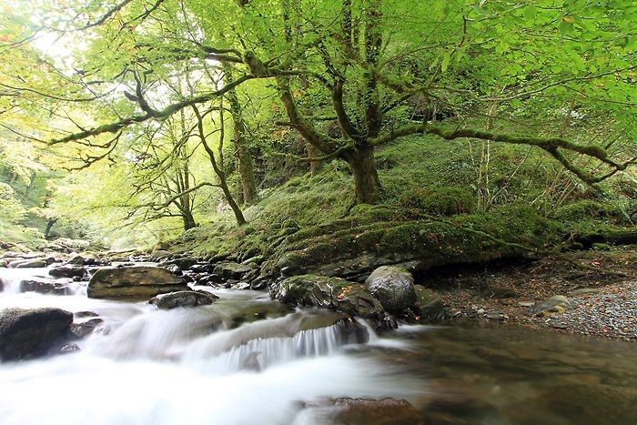 Cours d'eau au dbut du sentier d'Holzarte