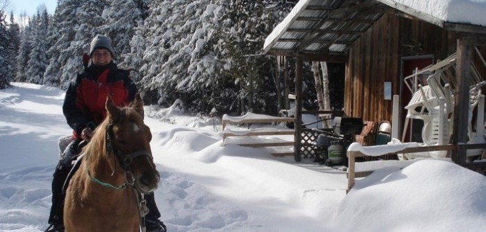 Randonne questre dans la neige au Qubec