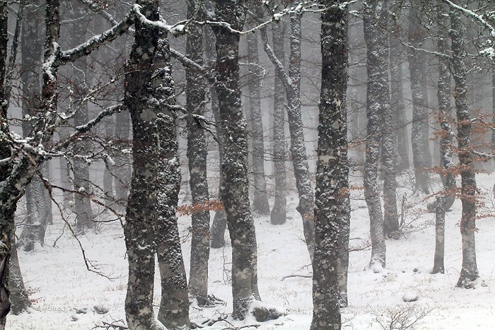 Fort enneige en Aubrac