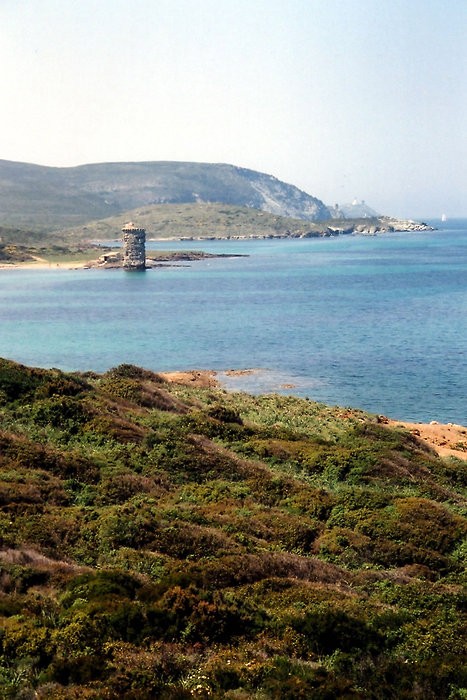 Beau paysage sur le sentier des douaniers en Corse