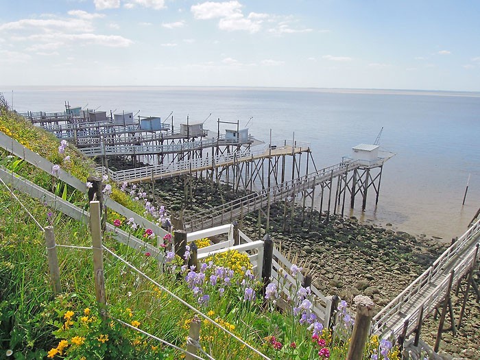 Fleurs et cabanons en face de Talmont sur Gironde