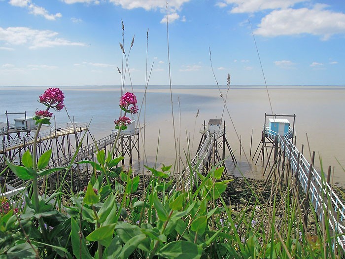 Cabanes tchanques,  ct de Talmont sur Gironde