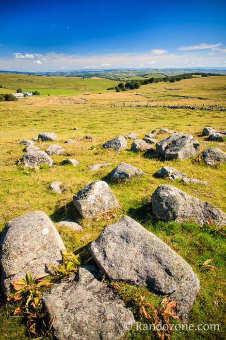 Paysage du plateau de l'Aubrac