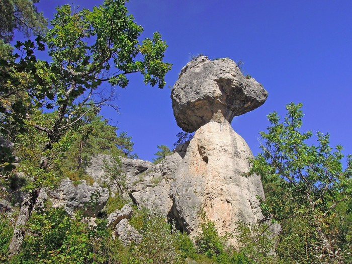 Rocher  tte d'animal, Chaos de Montpellier le Vieux