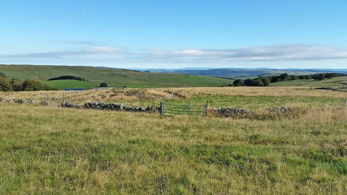 Paysage d'Aubrac