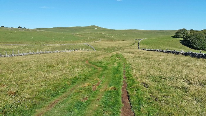 Chemin face au Puy de Gudette
