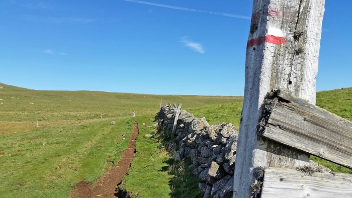 GR65, entre Aubrac et Nasbinals