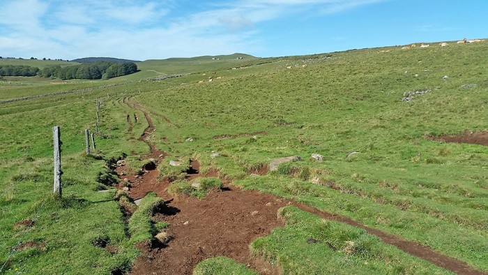 Le chemin de St Jacques, Aubrac