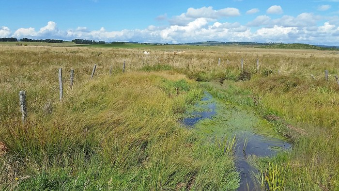Superbes couleurs sur l'Aubrac