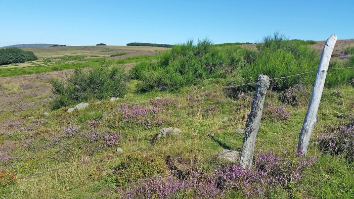 Paysage d'Aubrac prs du Col de Bonnecombe