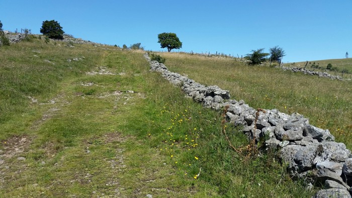 Chemin GR6 longeant les prs