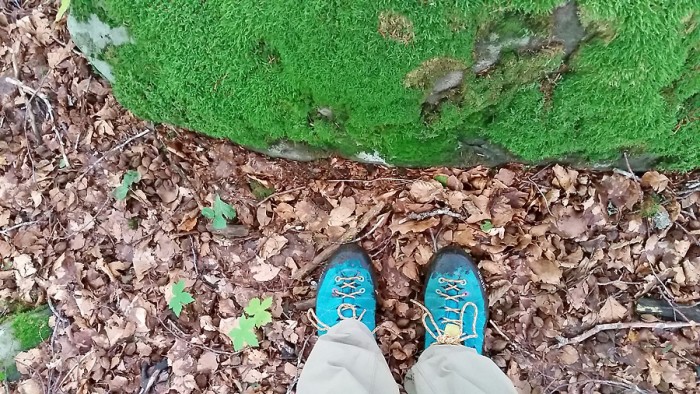 Dj un tapis de feuilles d'automne