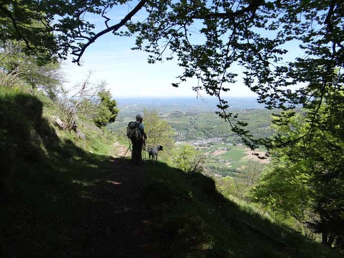 Dans la descente du Monn de Bagnres