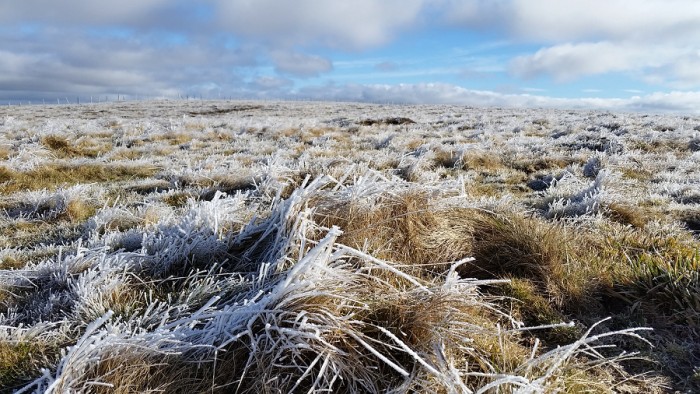 Il fait bien froid au point culminant de l'Aubrac