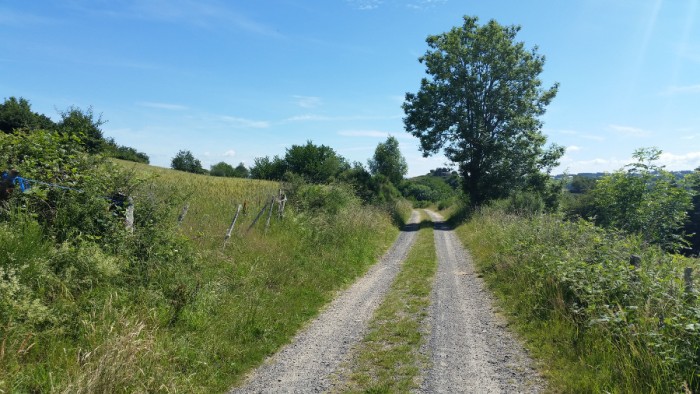 Piste au début de la randonnée Piste au début de la randonnée