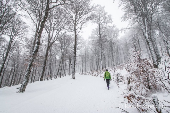 Progressions dans la neige le long de la piste