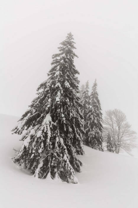 Habilles en neige