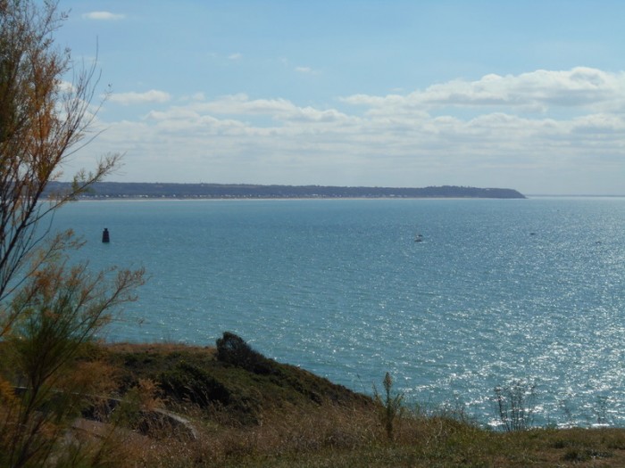 Pointe de Carolles et tourelle du Loup devant Granville.