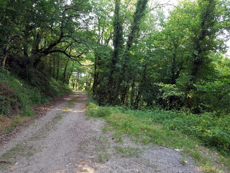 Le chemin que l'on suit durant un moment Le chemin que l'on suit durant un moment