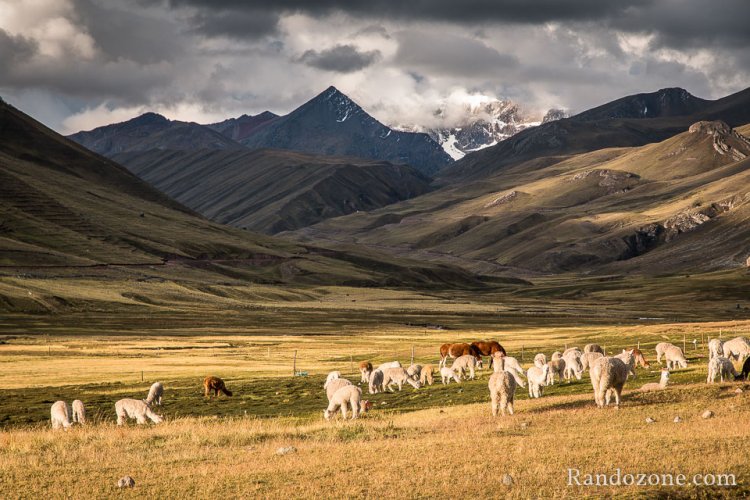 Superbe panorama sur les montagnes en arrire plan