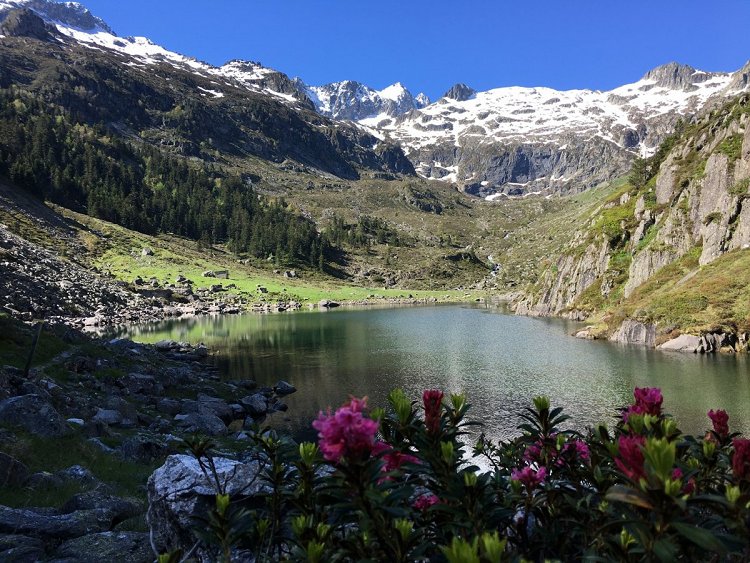 Au bord du lac de Plaa de Prat le matin