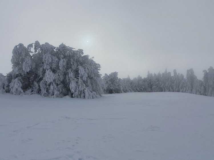 Sortie en raquettes à neige près de Laguiole