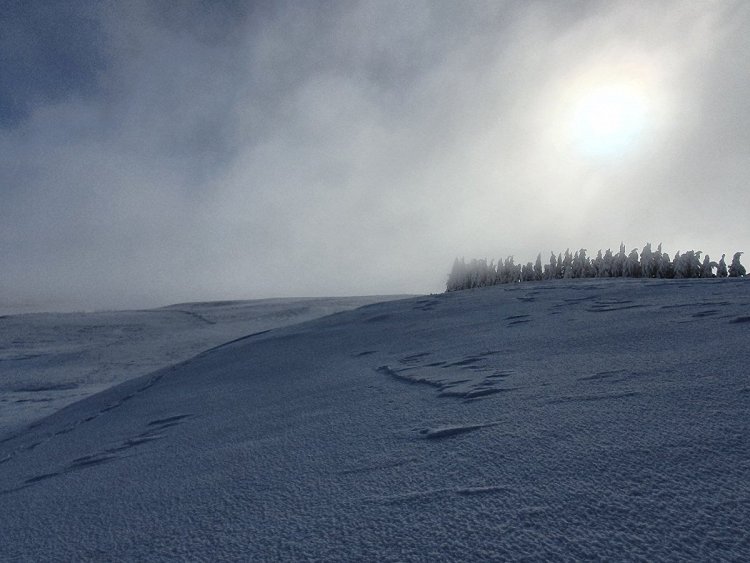 Le soleil perce à travers le brouillard