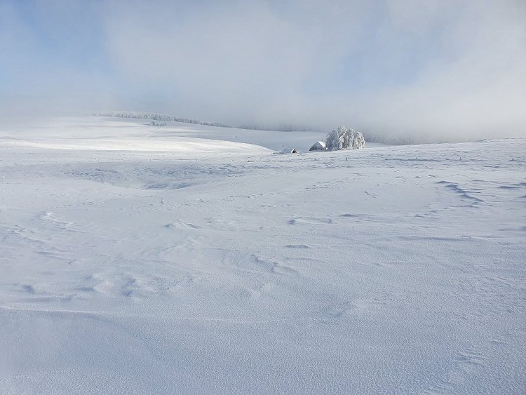 Au loin un buron enneigé et les bois en direction de St Urcize