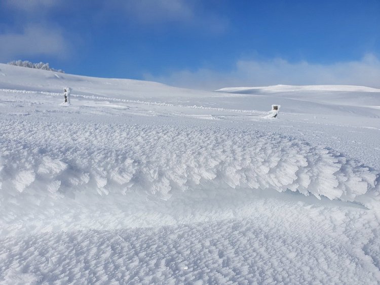Ce matin en randonnée raquettes à neige sur Aubrac