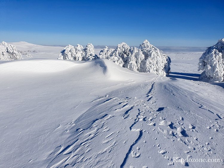 On peut voir le Puy de Gudette, où j'ai fais des raquettes à neige il y a quelques jours