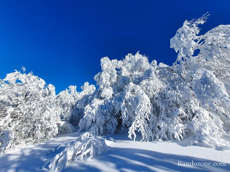 Petite pause durant ma sortie en raquettes  neige dans le Massif Central