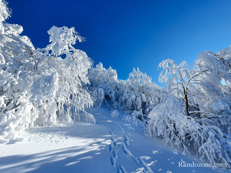 Quel bonheur de randonner dans ce paysage frique sur les hauteurs de l'Aveyron
