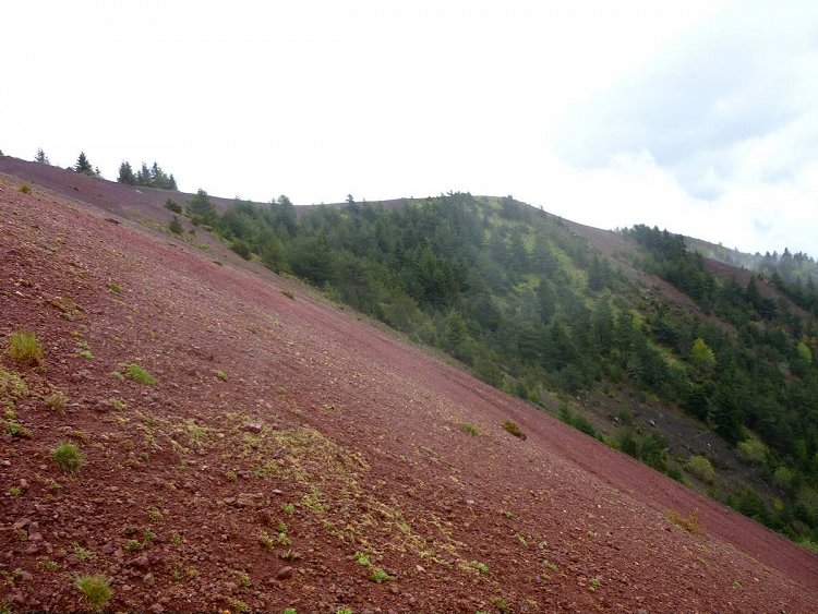 Randonne pdestre : Randonne volcans Puy de la Vache et Puy de Lassolas